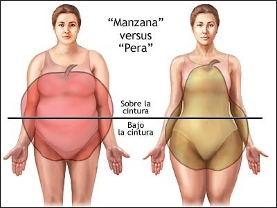 Obesidad Androide Como Adelgazar El Cuerpo Prefijos Antes Y Despues De Adelgazar